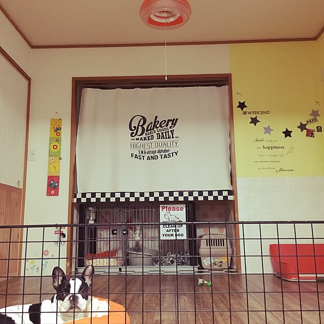 chicoさんの実例写真