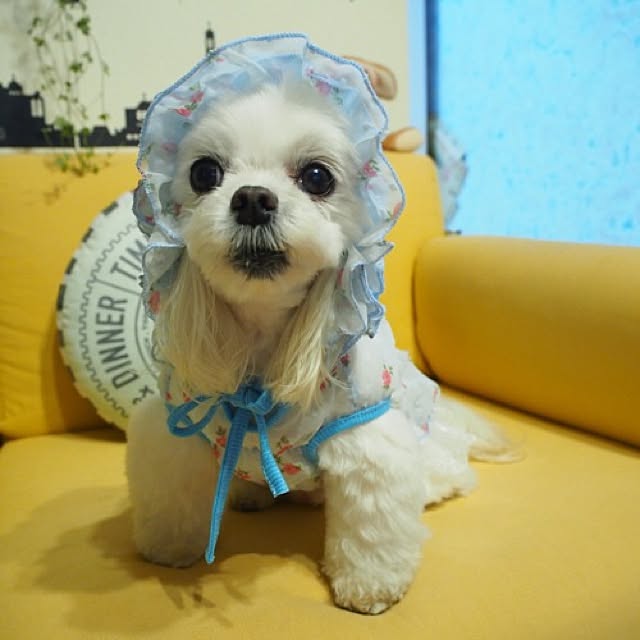 Sonokoさんの実例写真