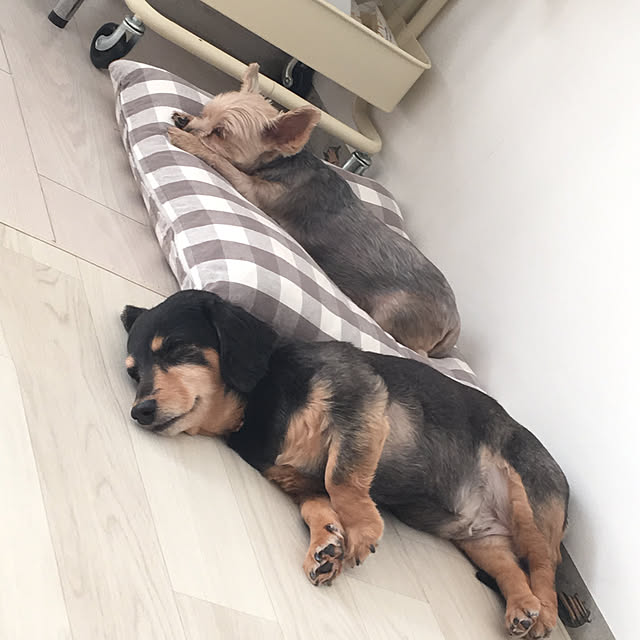 ohanaさんの実例写真