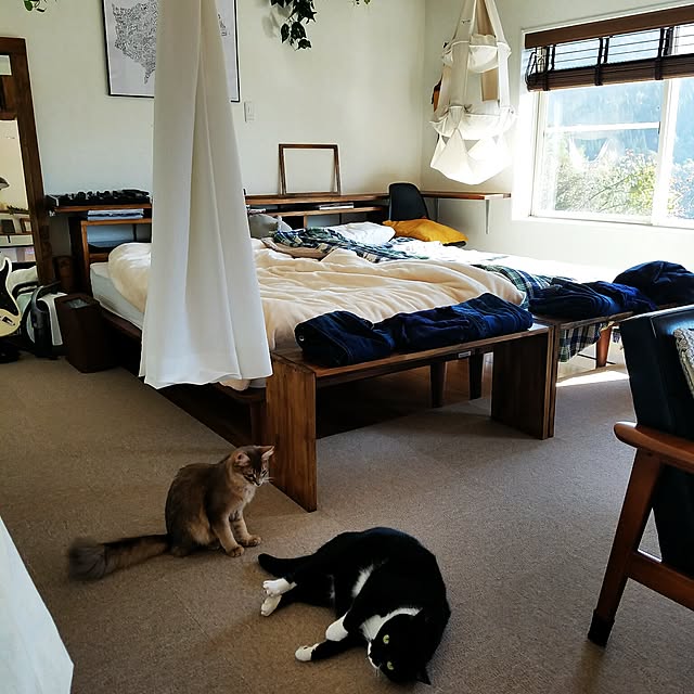 nekogurumaさんの実例写真