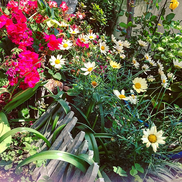 akiemi530.53.tさんの実例写真