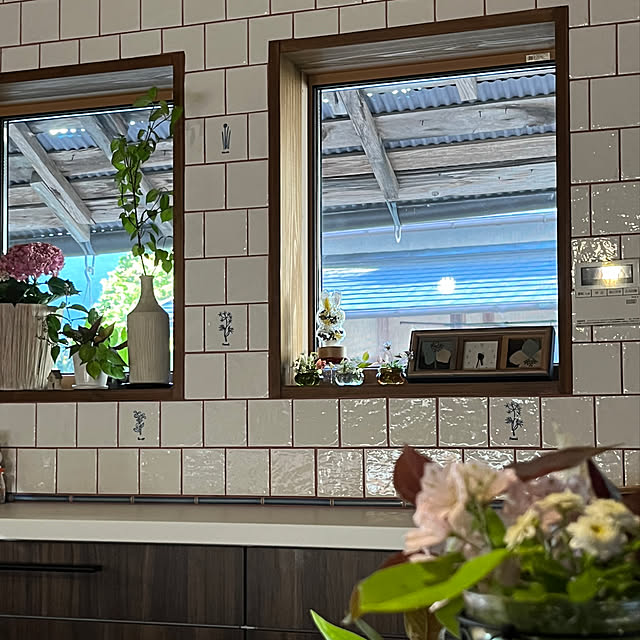 cota2さんの部屋