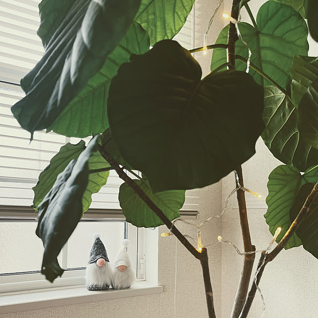 matteaさんの実例写真