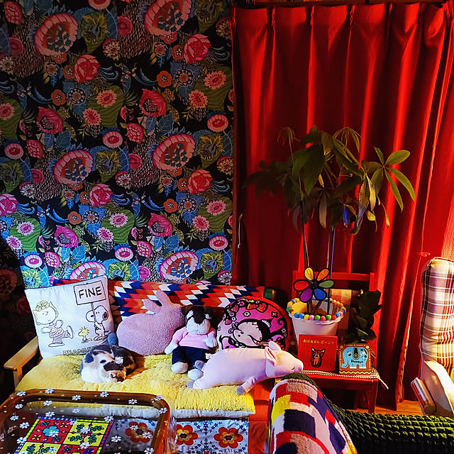 kumutanさんの実例写真