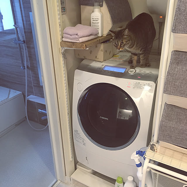 mikomaruさんの実例写真
