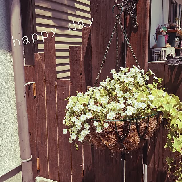 pua35さんの実例写真