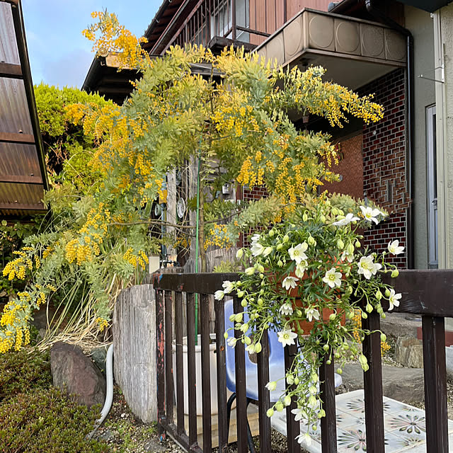shin0719さんの実例写真