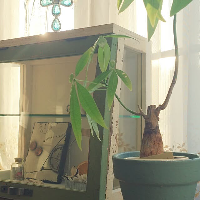 RIEさんの実例写真
