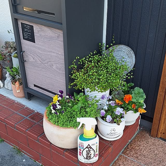 hanapanさんの部屋