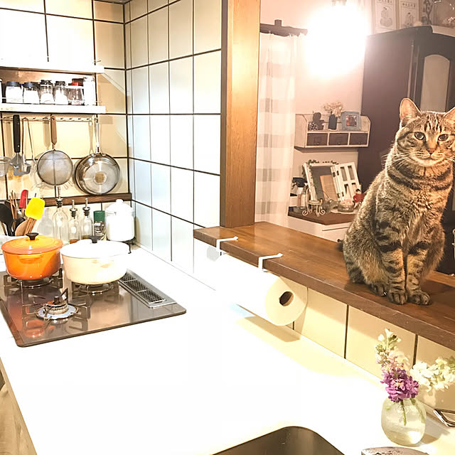 mayuさんの実例写真