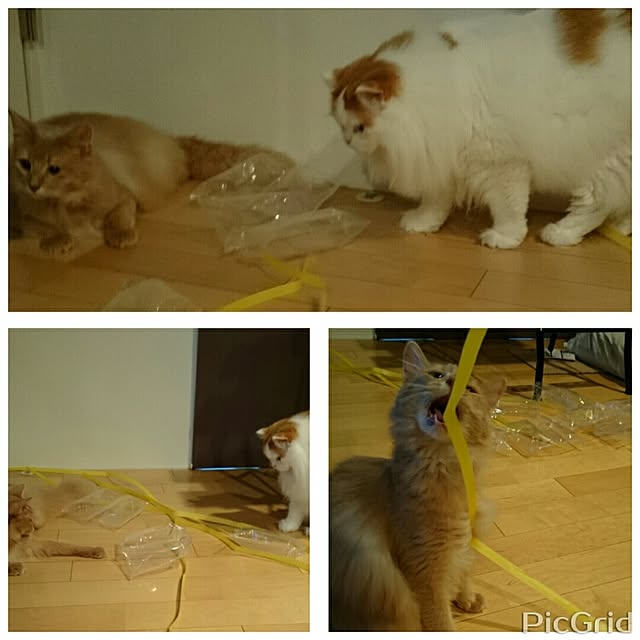 1ldksさんの実例写真