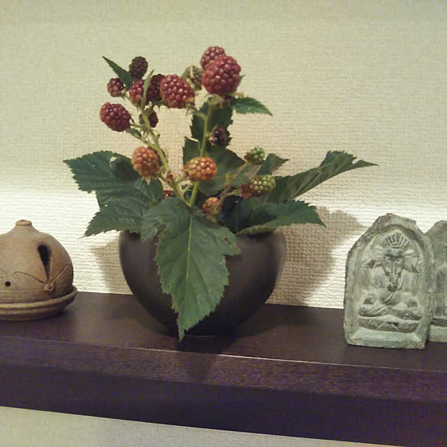 chapiさんの実例写真