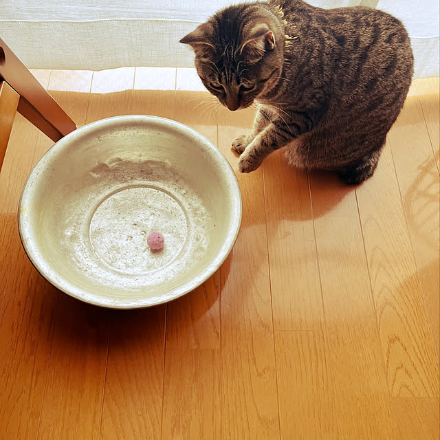 Mさんの実例写真