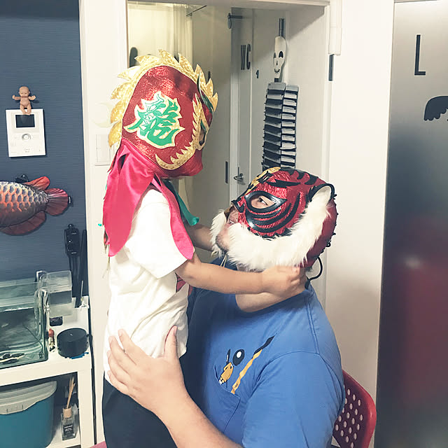 実例写真