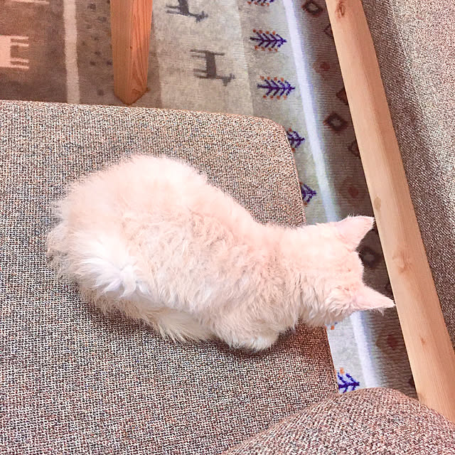naokoさんの実例写真
