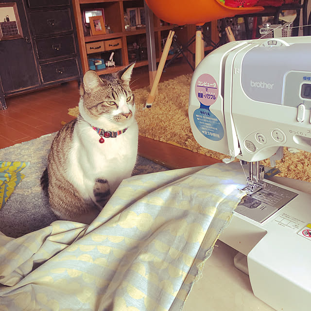 jijiさんの実例写真
