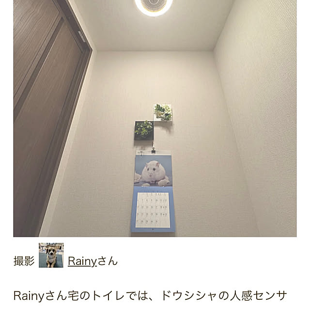 Rainyさんの部屋