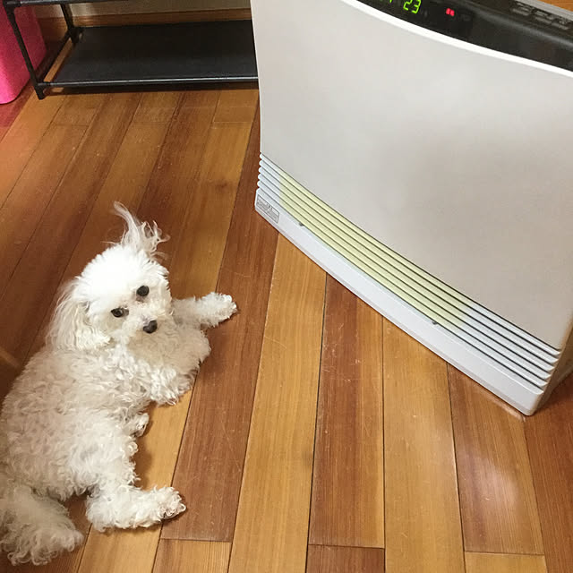 kakoさんの実例写真