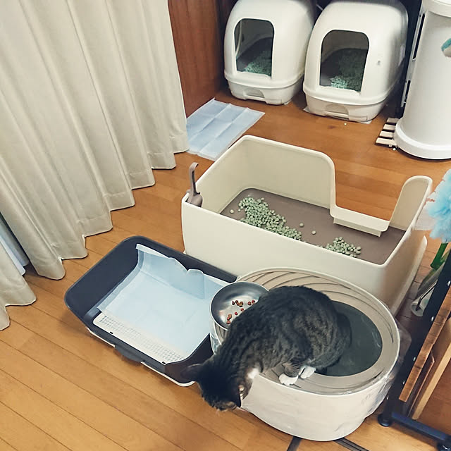 nachiさんの実例写真