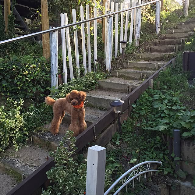 Naomiさんの実例写真
