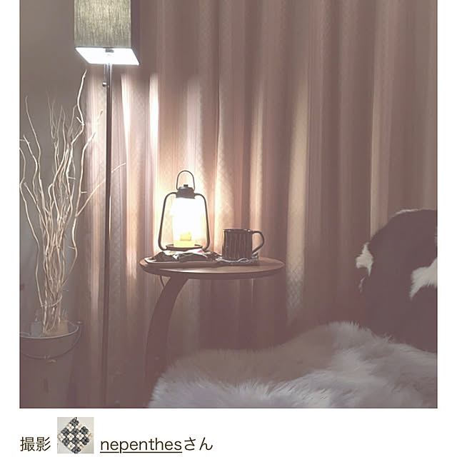 nepenthesさんの実例写真