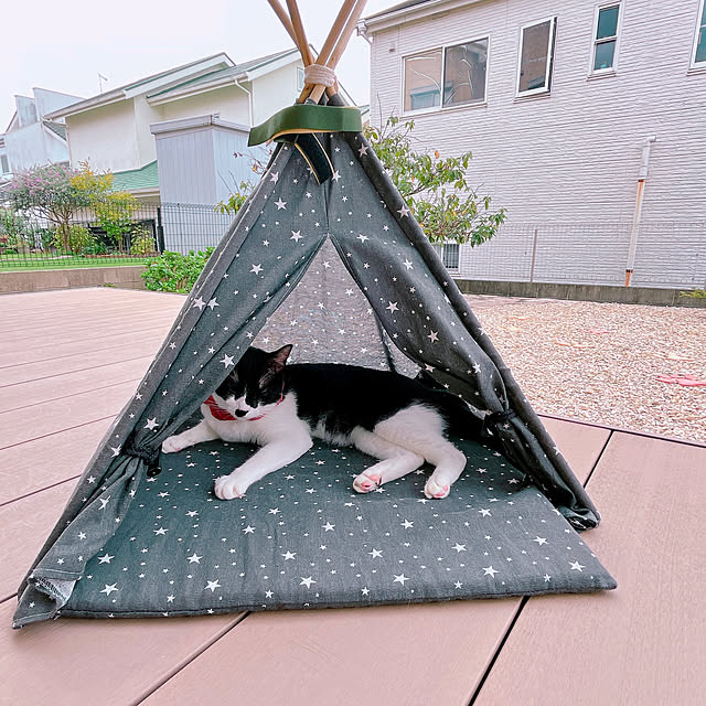 moolさんの部屋