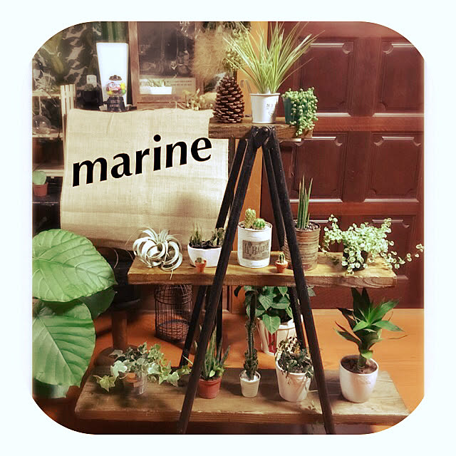 marineさんの実例写真