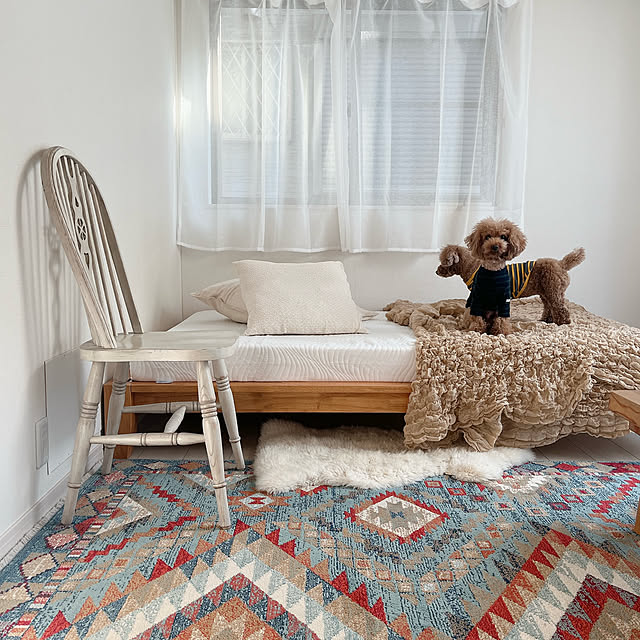 cocoaさんの部屋