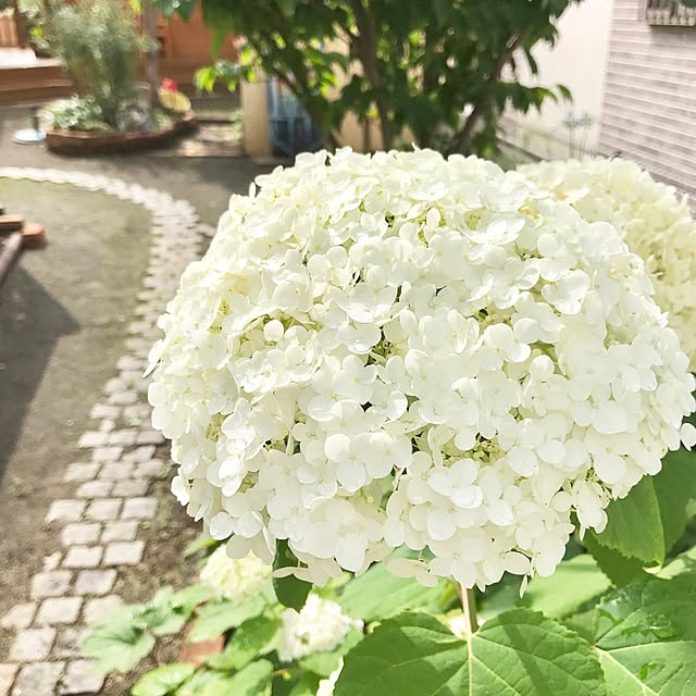 samanthakitchenさんの実例写真