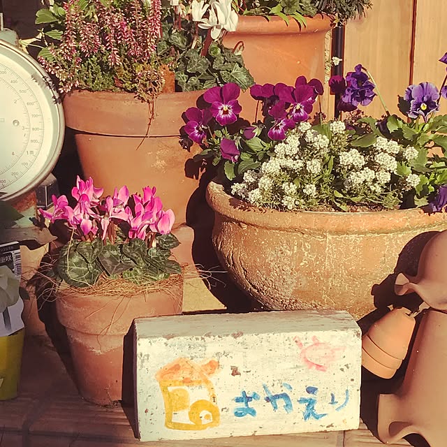 candybuttonさんの実例写真