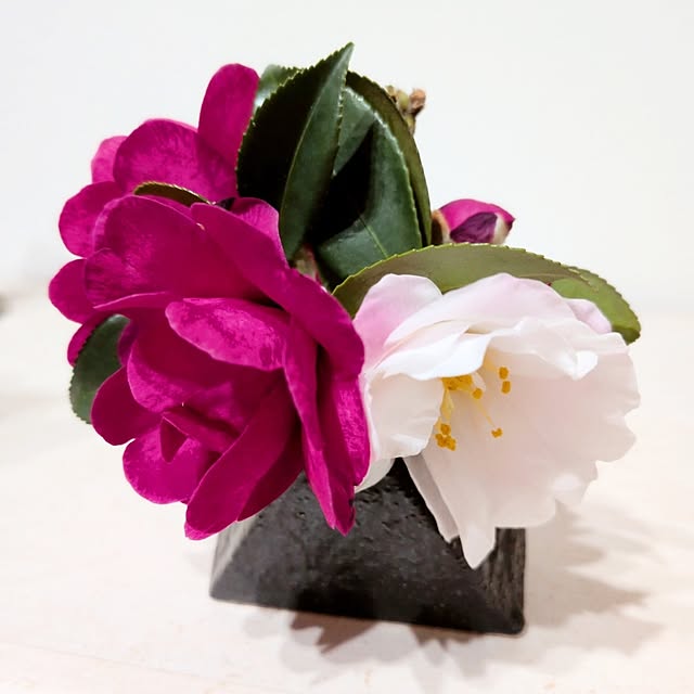 yokkoさんの部屋