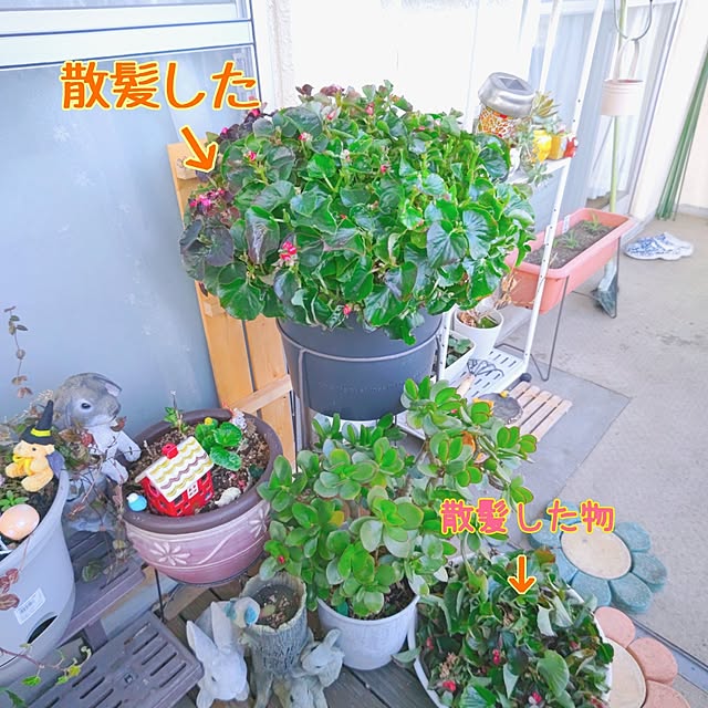 mariaさんの実例写真