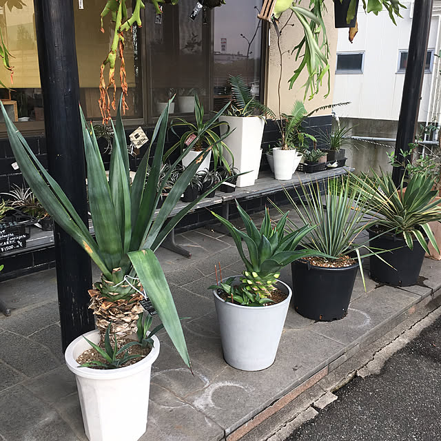 hanabisouさんの実例写真