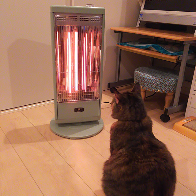 Yukoさんの実例写真