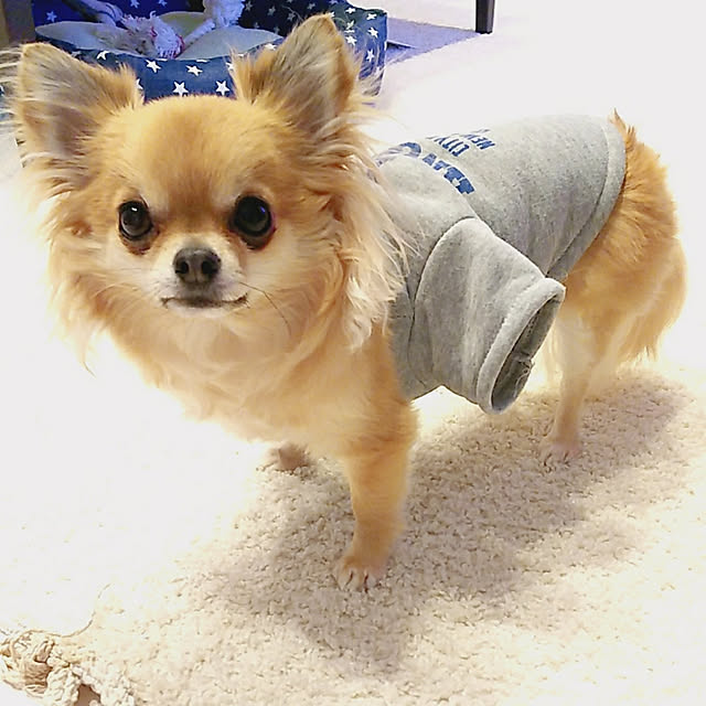kojikojiさんの実例写真