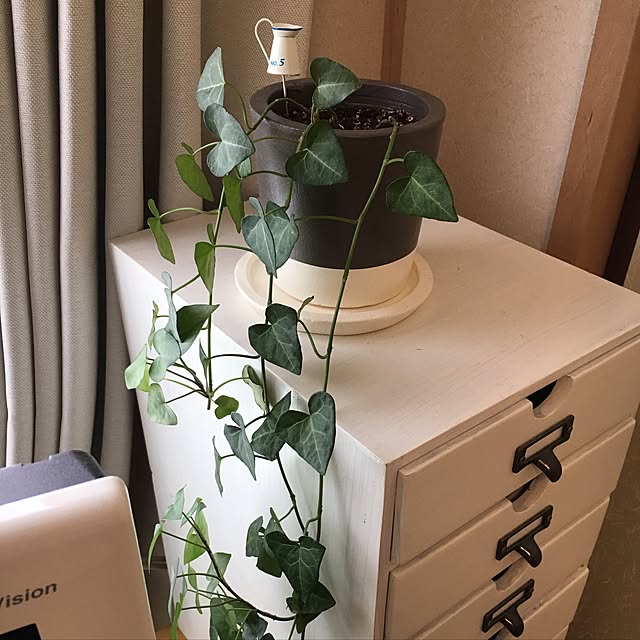 inaba0178さんの実例写真