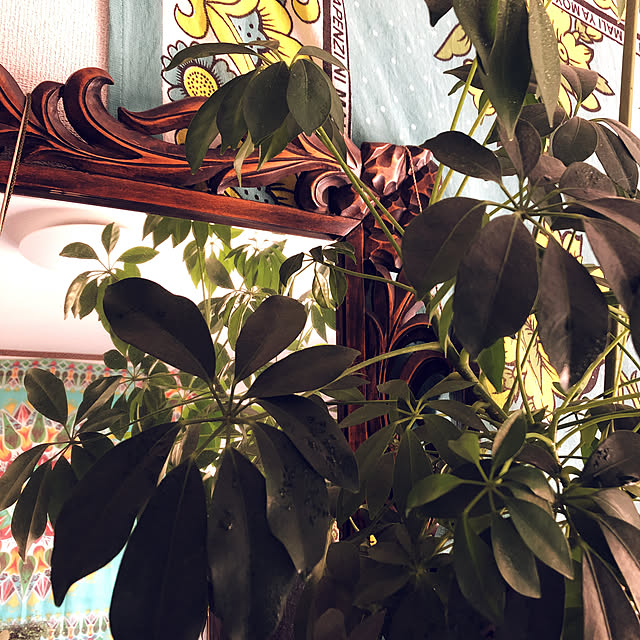 ckst8さんの実例写真