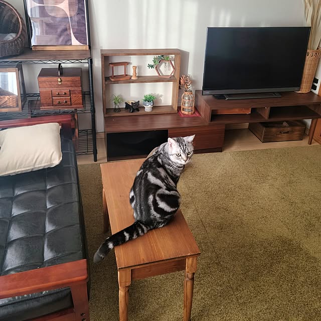 lovepeaceさんの実例写真