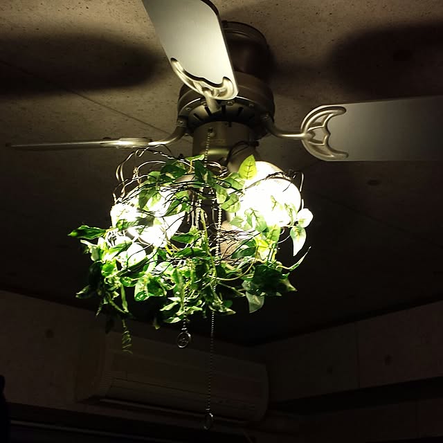 壁/天井/DIYのインテリア実例 - 2014-07-06 23:45:04