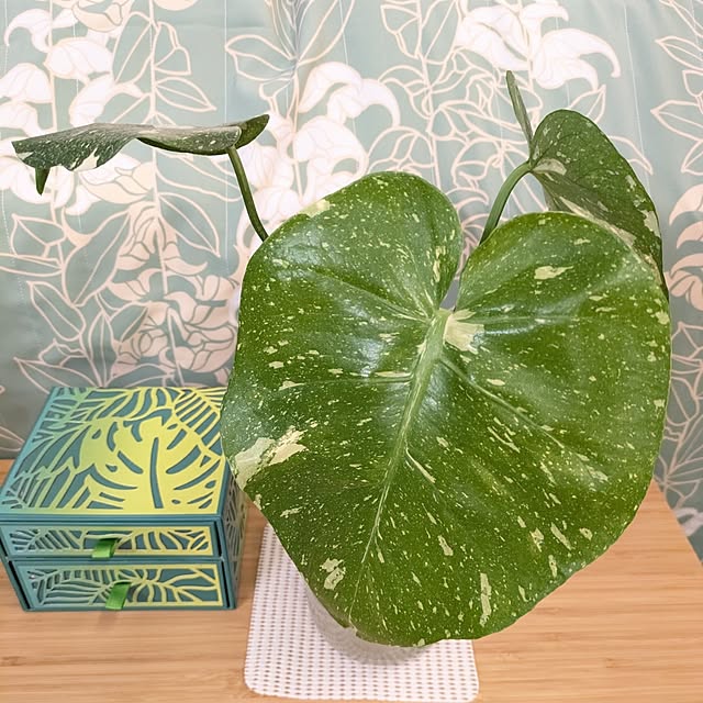 kolo92さんの部屋