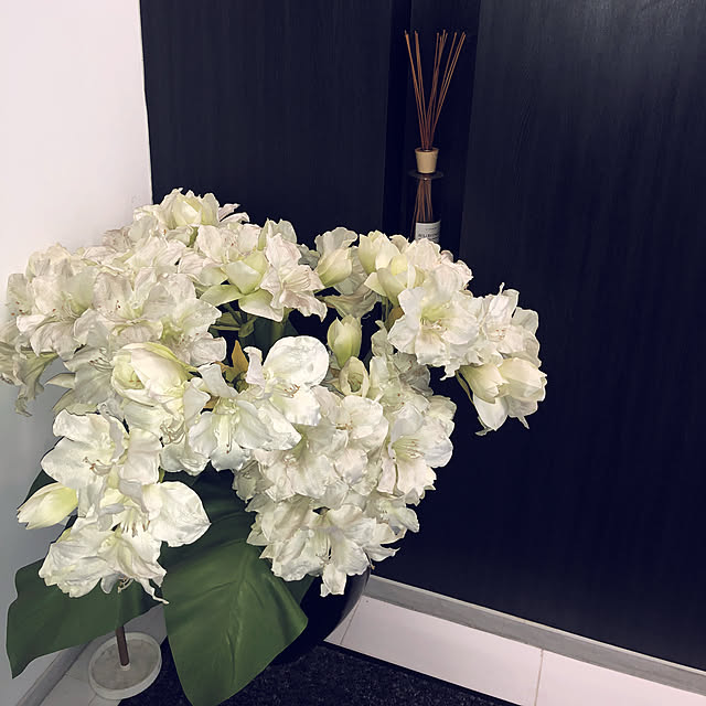 coco.hさんの実例写真