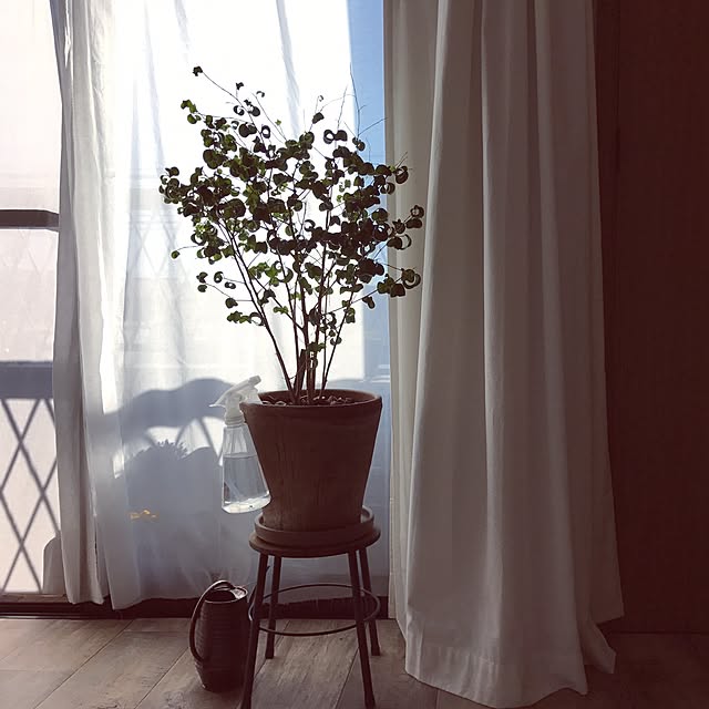 nidoneさんの実例写真