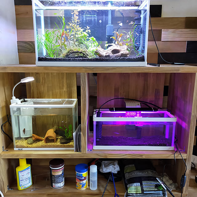 棚/DIYのインテリア実例 - 2022-05-28 15:38:52