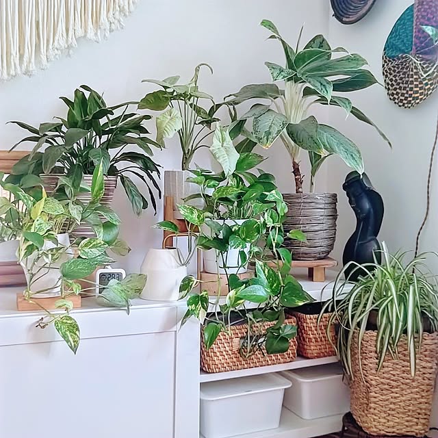YuriYuriさんの部屋