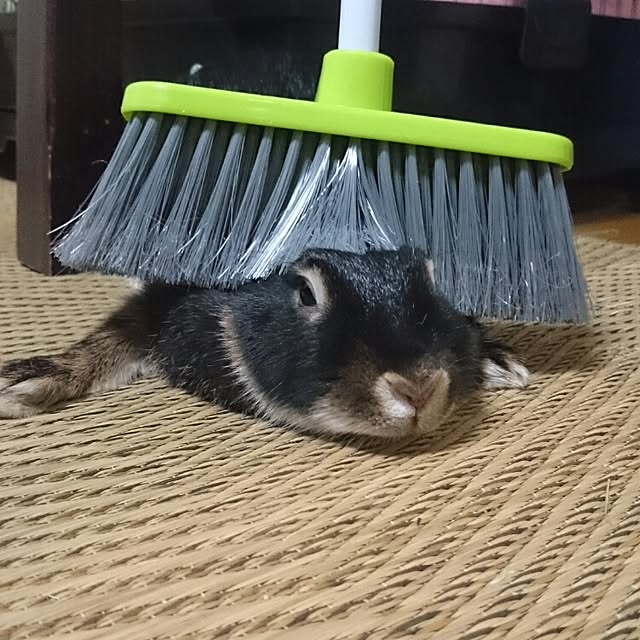 Choco.Eclairさんの実例写真