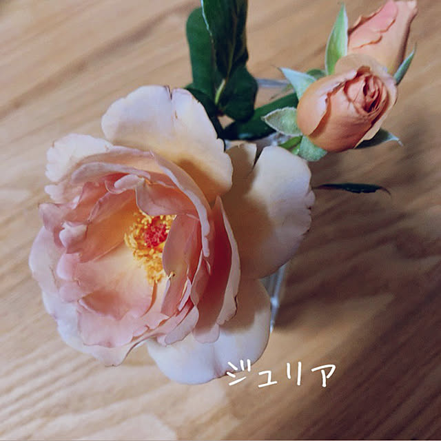 mamerurikoさんの実例写真