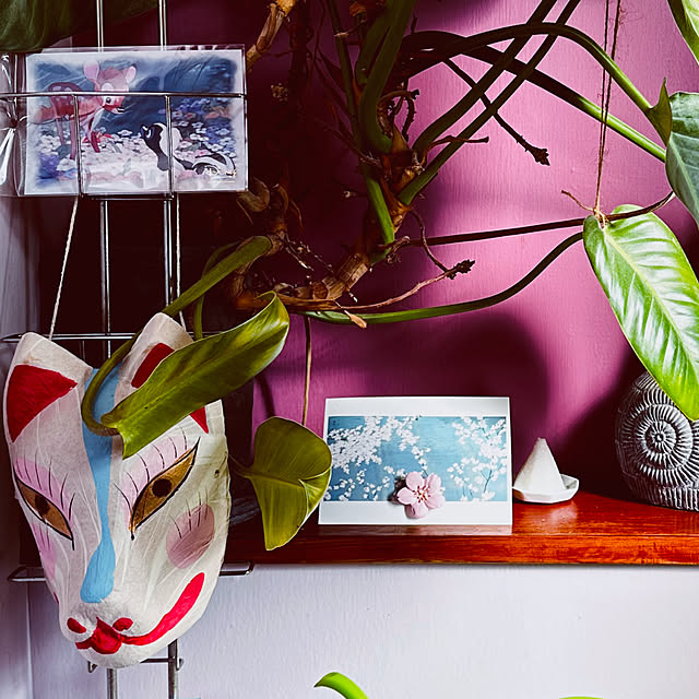 chacoさんの部屋