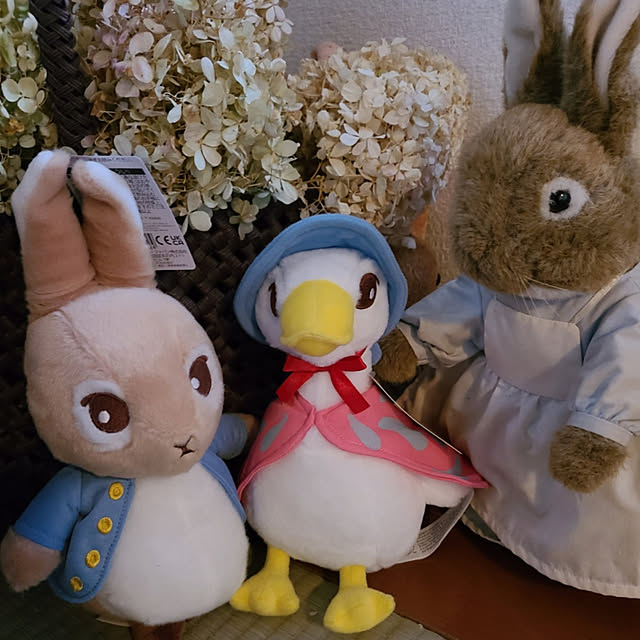 monnさんの実例写真