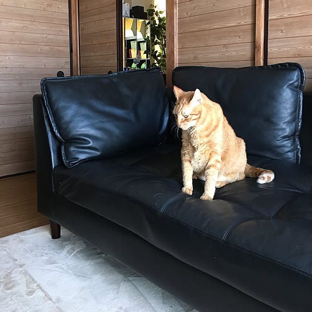 nonnokoさんの実例写真