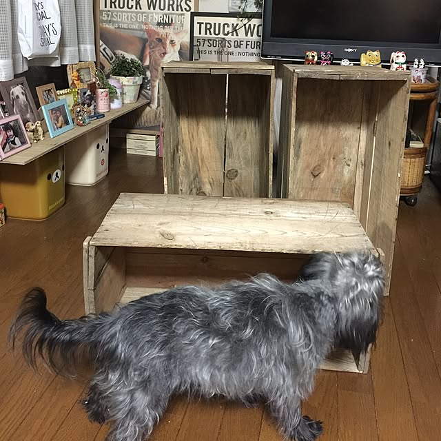 emiさんの実例写真